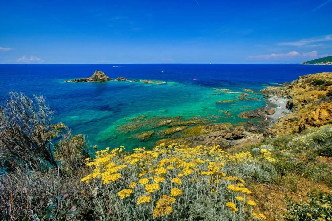 Sunny Courtyard Apartment Piombino Luaran gambar